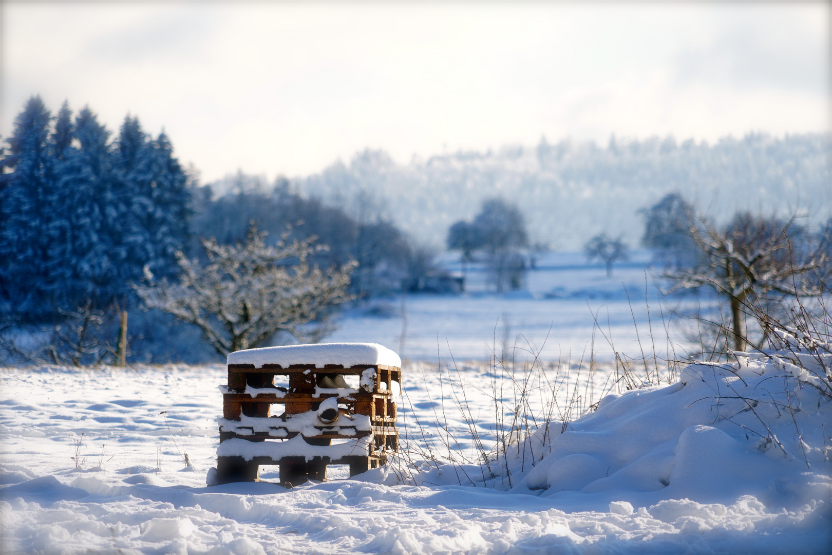 Winterliche Paletten