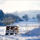 Winterliche Paletten