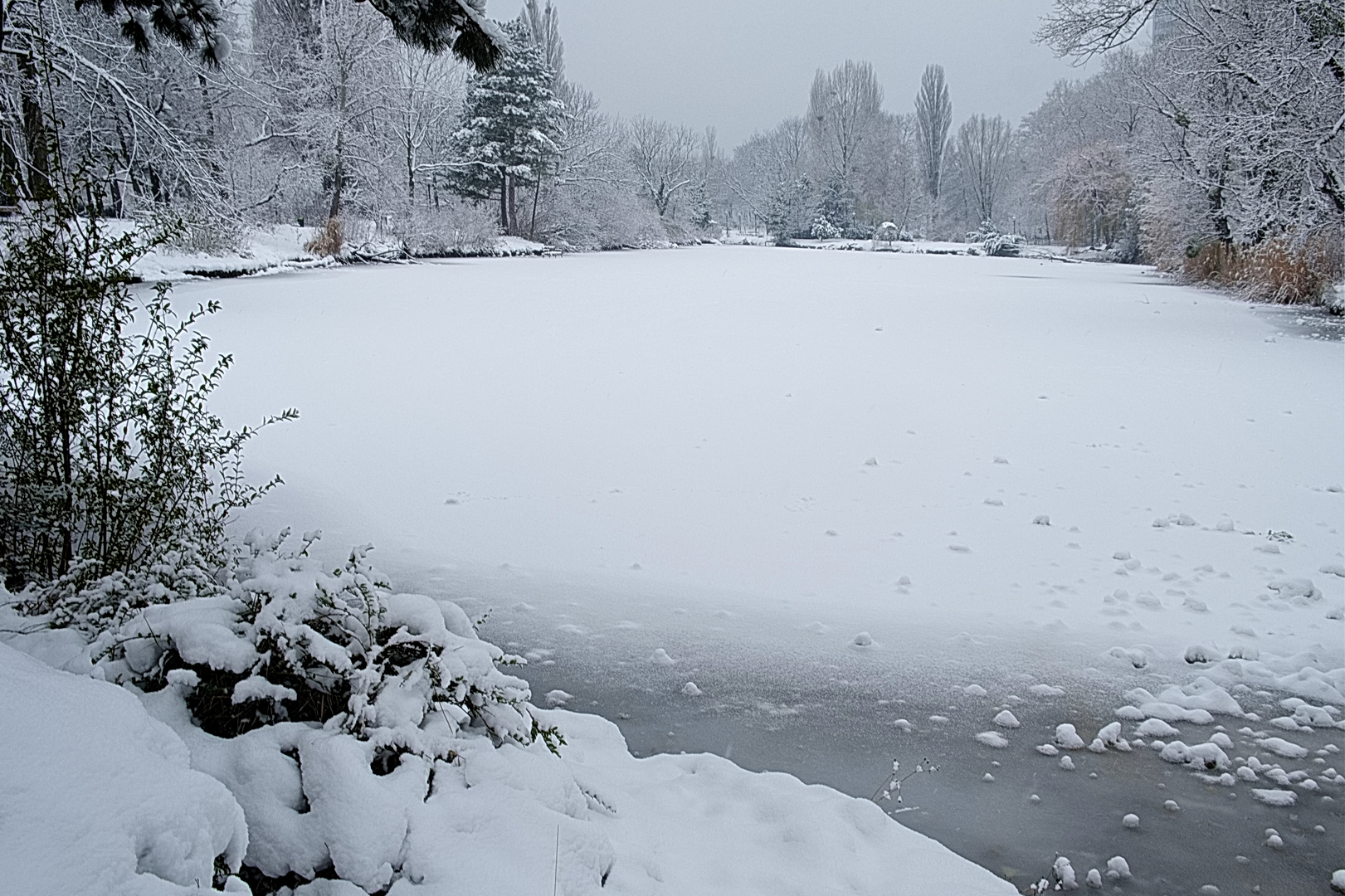 Winterliche Parkimpressionen (1)