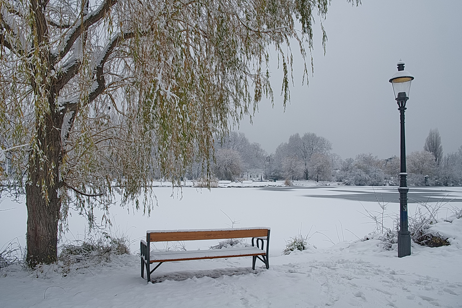 Winterliche Parkimpressionen (2)