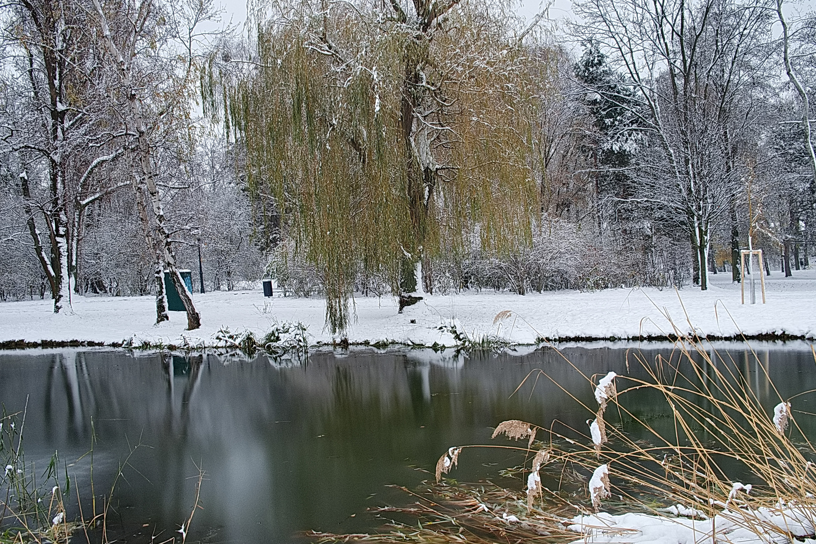 Winterliche Parkimpressionen (3)