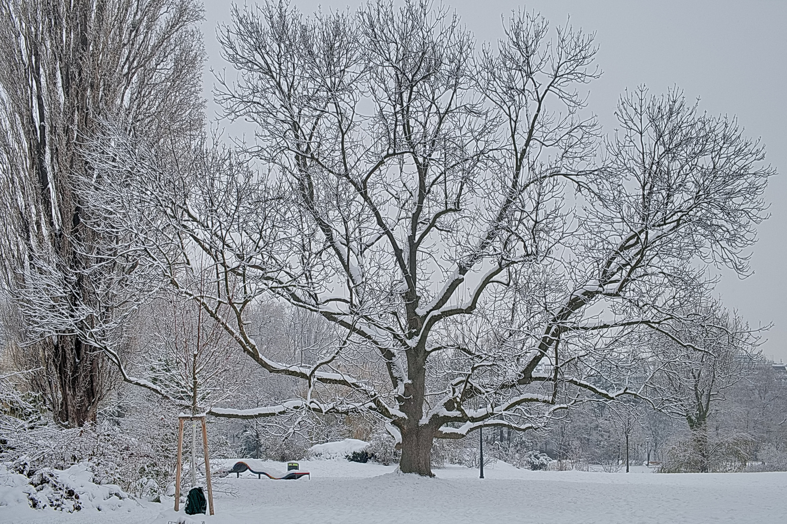 Winterliche Parkimpressionen (4)