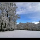 Winterliche Parklandschaft