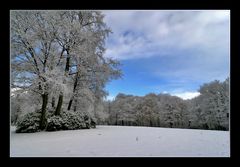 Winterliche Parklandschaft