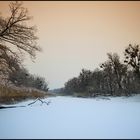 winterliche Praterauen