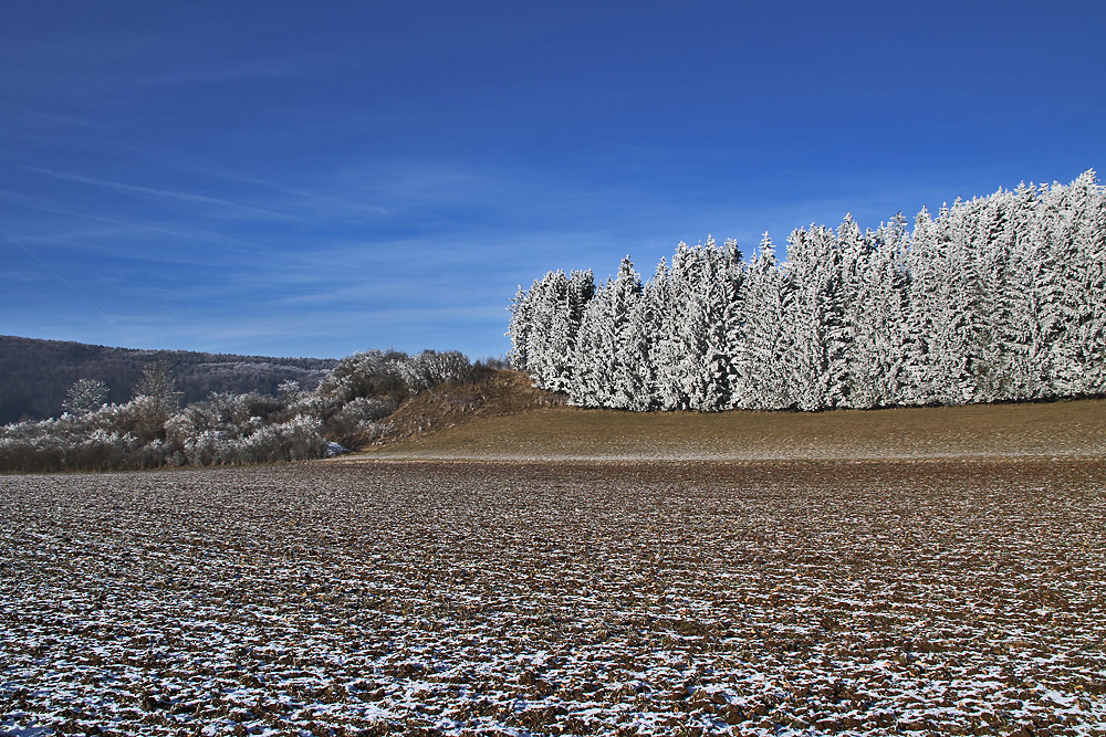 winterliche Raureif-Landschaft