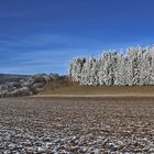 winterliche Raureif-Landschaft