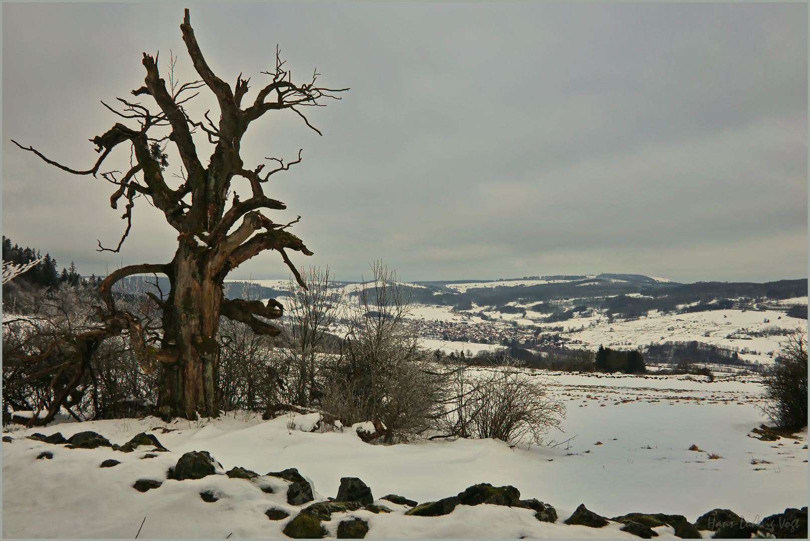 Winterliche Rhön (1)