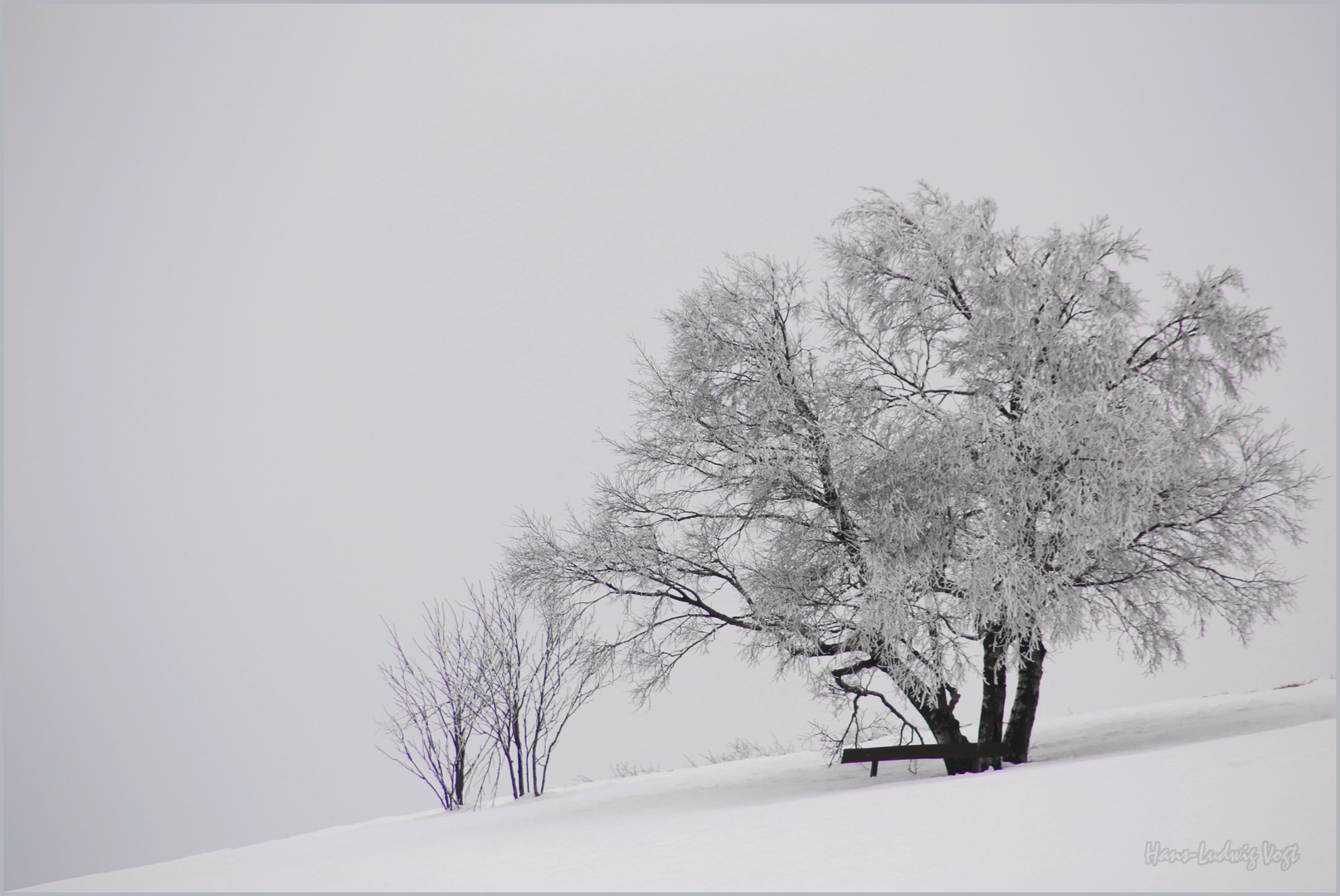 Winterliche Rhön (2)