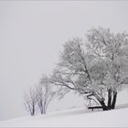 Winterliche Rhön (2)