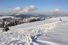 WINTERliche  RHÖN -3-