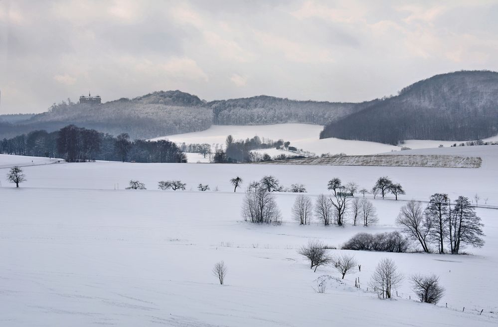 winterliche Rhön...