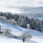 winterliche Rhön...