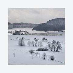 winterliche Rhön...3