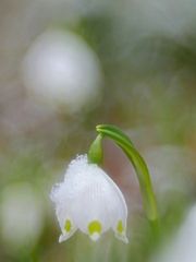 winterliche Rückzugsgefechte