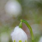 winterliche Rückzugsgefechte