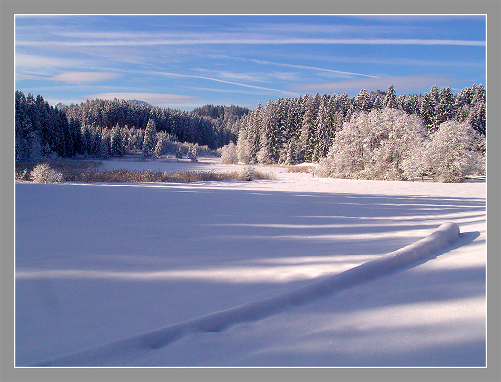 Winterliche Ruhe am See