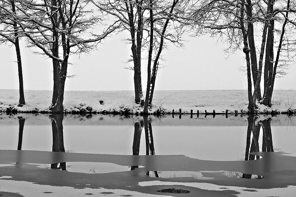 Winterliche Ruhe am Teich
