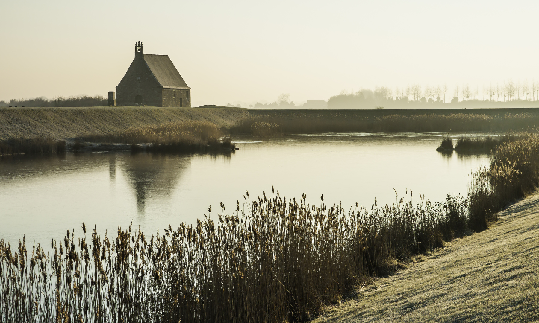 Winterliche Ruhe am Teich Foto & Bild landschaft, bach, fluss & see
