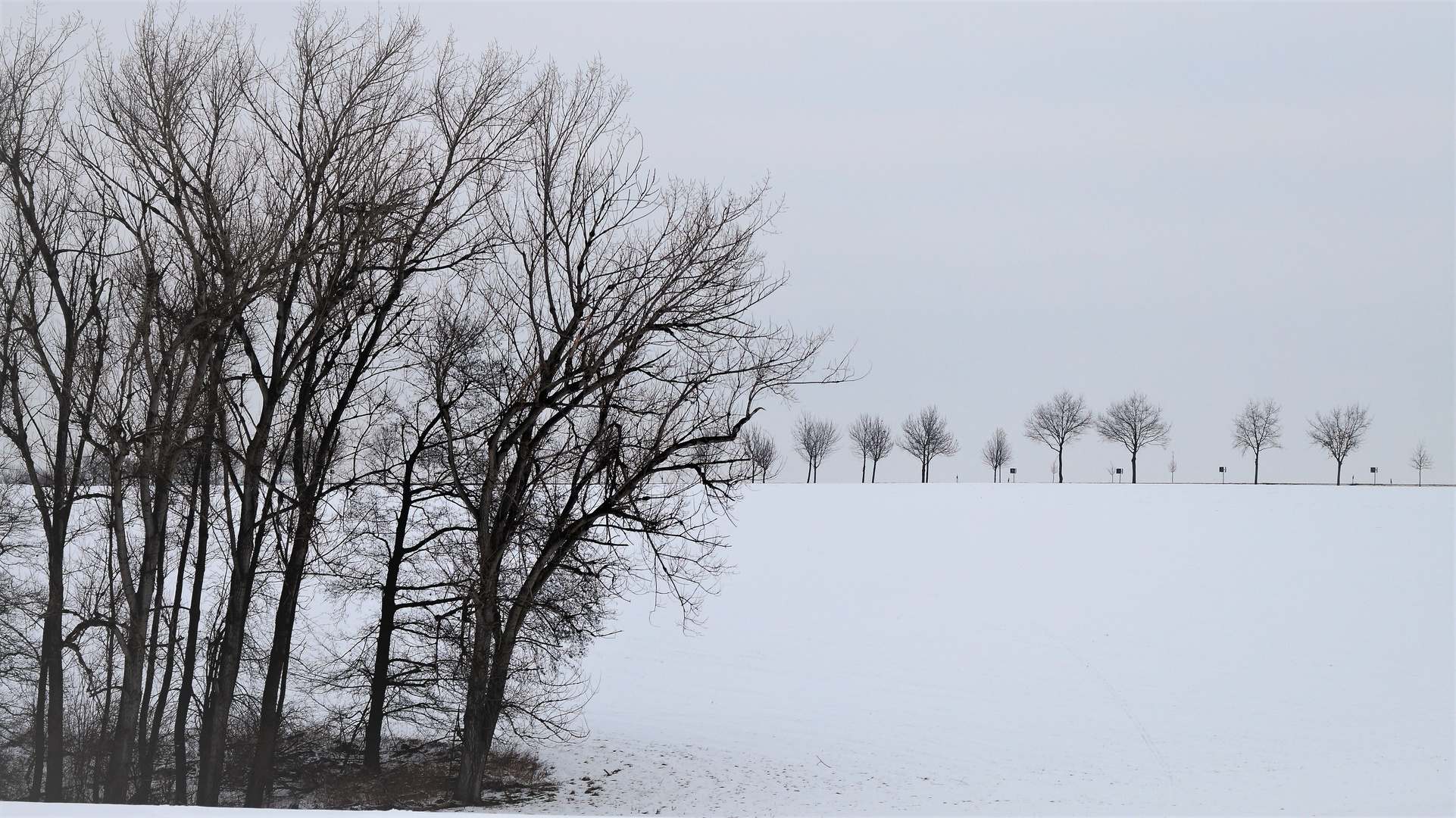 Winterliche Ruhe in Wald und Flur ...  