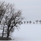 Winterliche Ruhe in Wald und Flur ...  