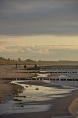 Winterliche Ruhephasen Insel Hiddensee