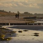 Winterliche Ruhephasen Insel Hiddensee