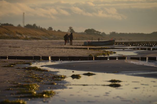 Winterliche Ruhephasen Insel Hiddensee