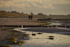 Winterliche Ruhephasen Insel Hiddensee