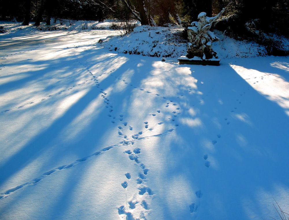 Winterliche Schatten über den Spuren