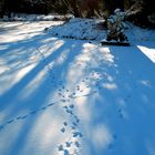 Winterliche Schatten über den Spuren