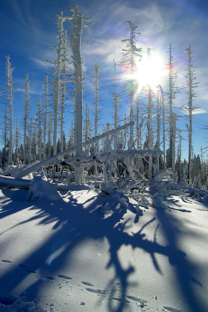 Winterliche Schattenwürfe