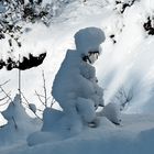 Winterliche Schlittenfahrt! - En luge dans la forêt...