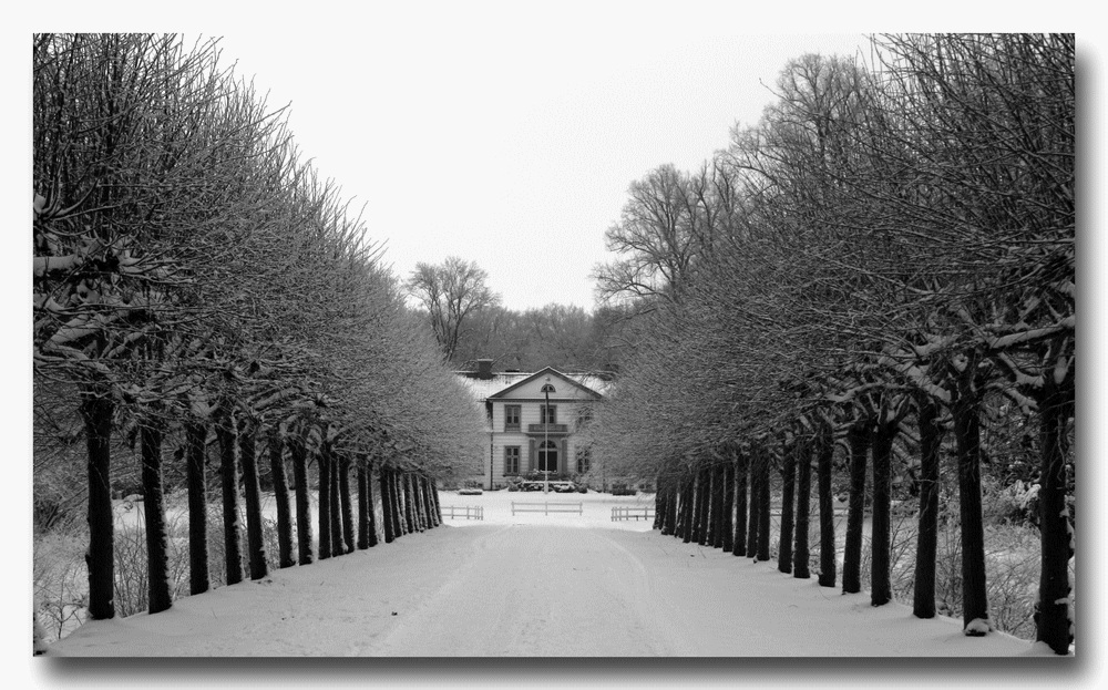 winterliche Schloßallee