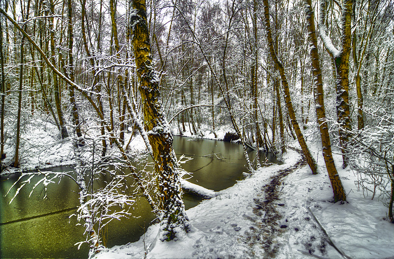 winterliche Schneepracht