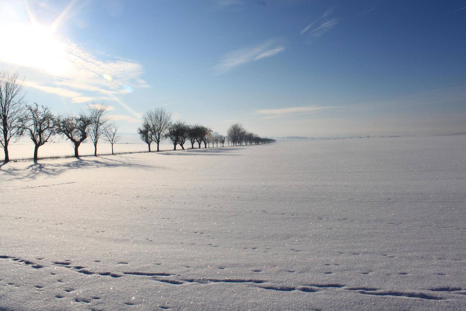 winterliche Schönheit