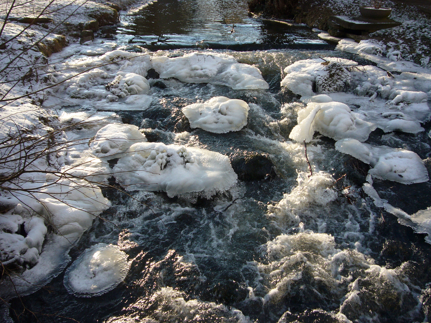 winterliche Schwärze