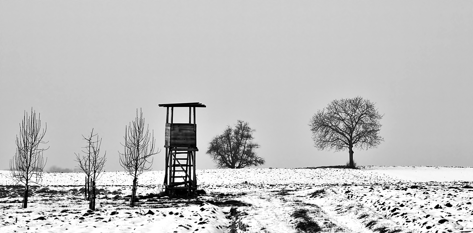 Winterliche Silhouetten