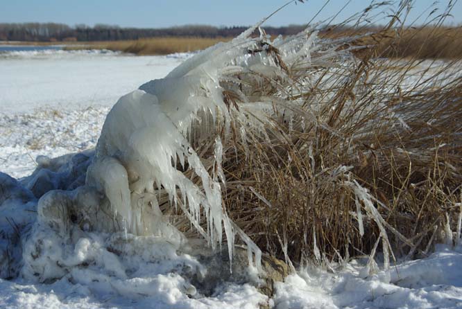 Winterliche Skulptur aus Sturm und Eis