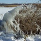 Winterliche Skulptur aus Sturm und Eis