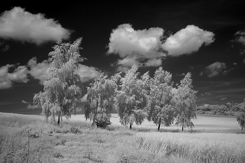 Winterliche Sommerzeit