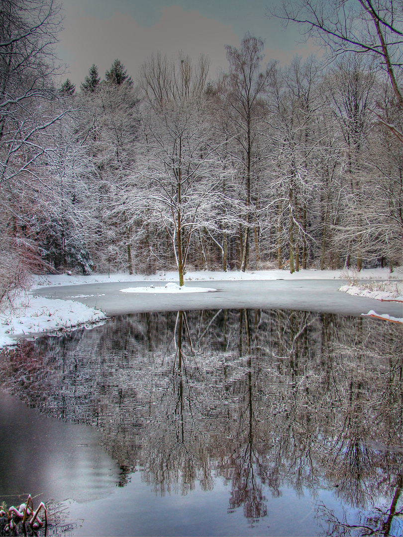 Winterliche Spiegellung