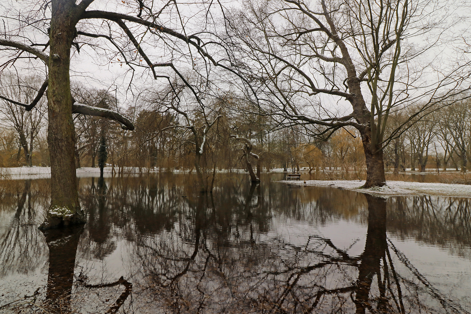 Winterliche Spiegelung