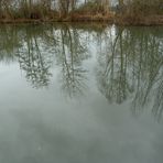 winterliche Spiegelung im Teich