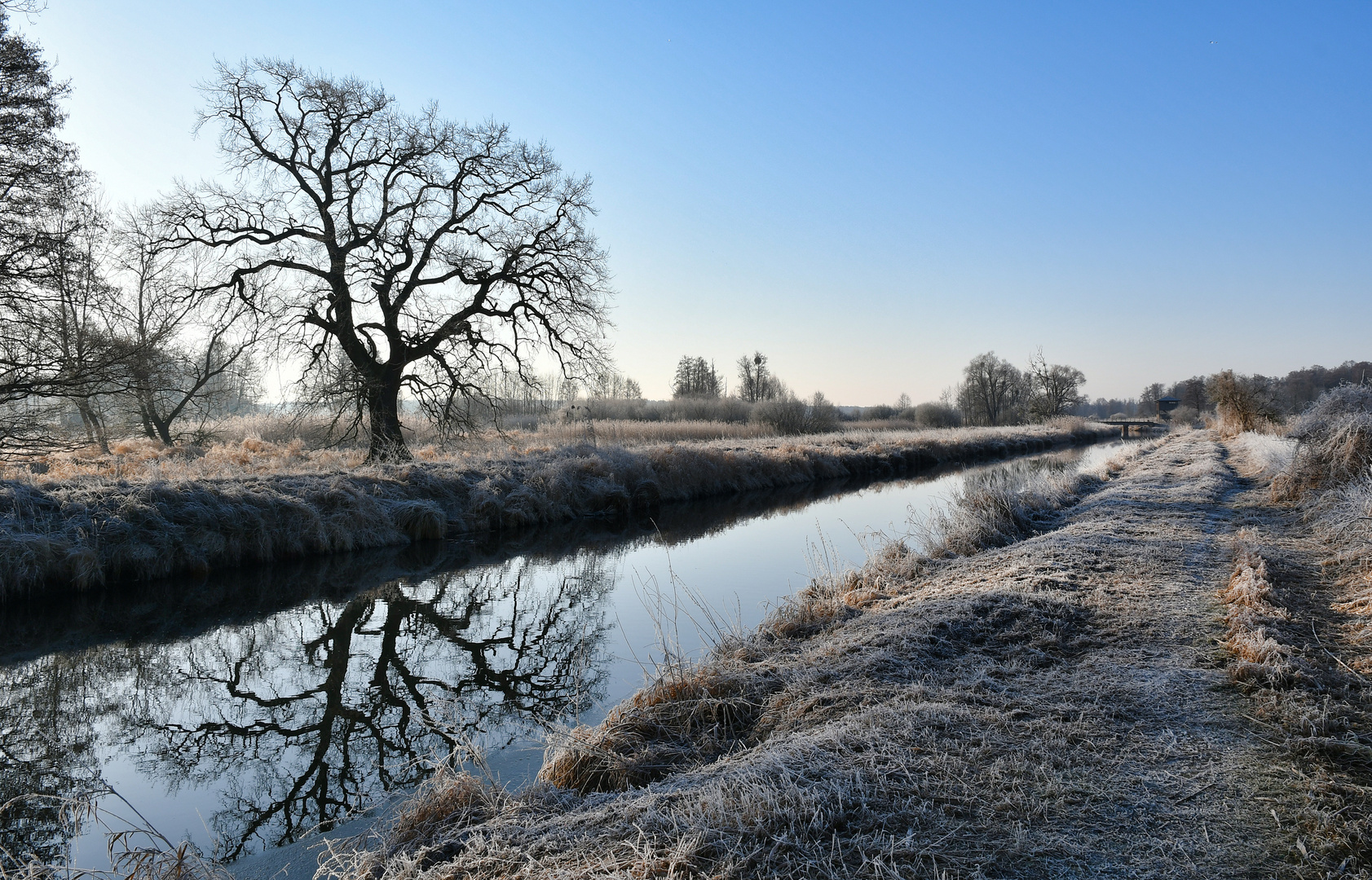 Winterliche Spiegelungen