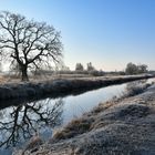 Winterliche Spiegelungen