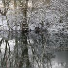 Winterliche Spiegelungen im Wasser