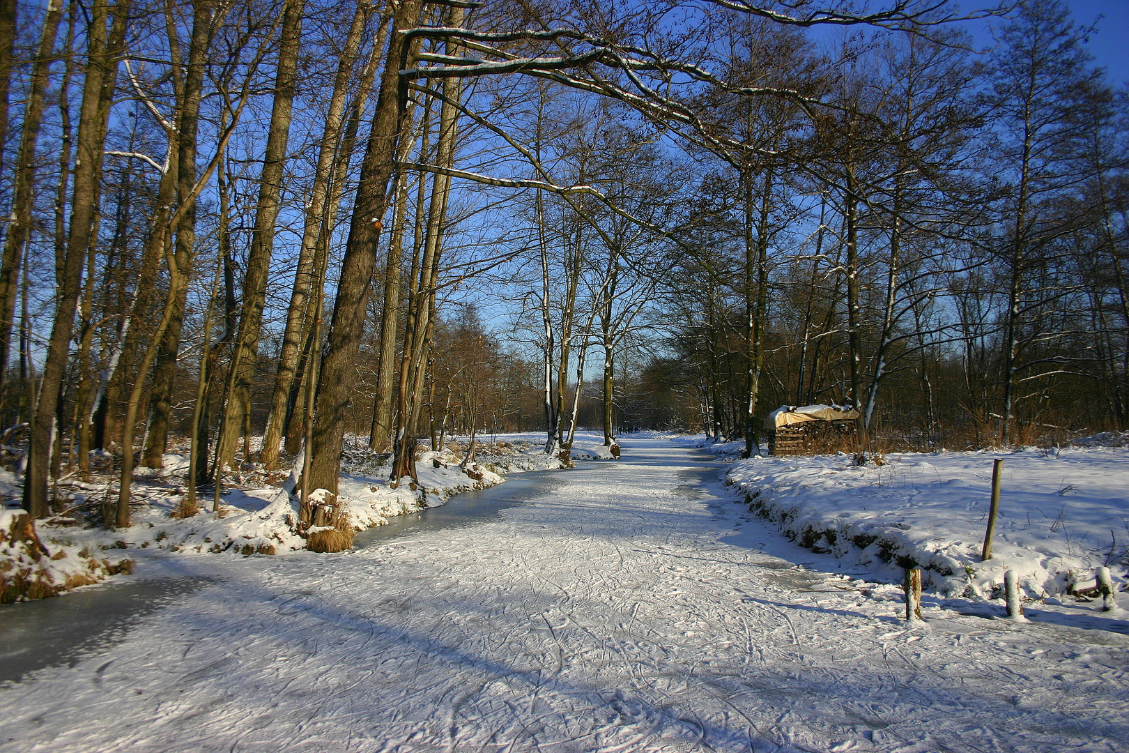 Winterliche Spreewaldlandschaft