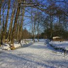 Winterliche Spreewaldlandschaft