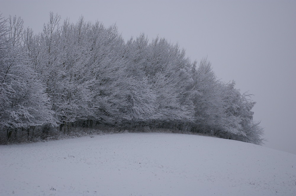 winterliche Steinrücke bei Bärenstein